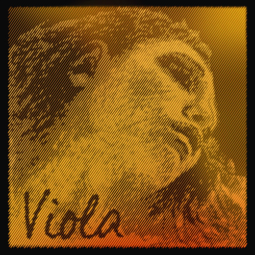 Evah Pirazzi Gold D medium - Viola 